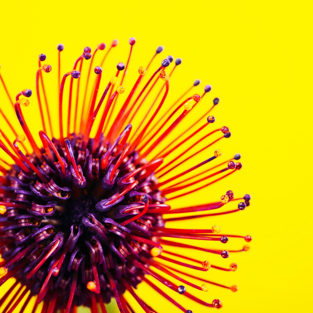 DisruptOM's tweet image. Looking for a cheap way to grow your business?⁠
⁠
Getting started doesn't have to come with a huge price tag. With the Finally Visible Academy, we're offering a free 30 day trial. (No Credit Card Required!🤯)⁠

⁠disruptordinary.com/finally-visible