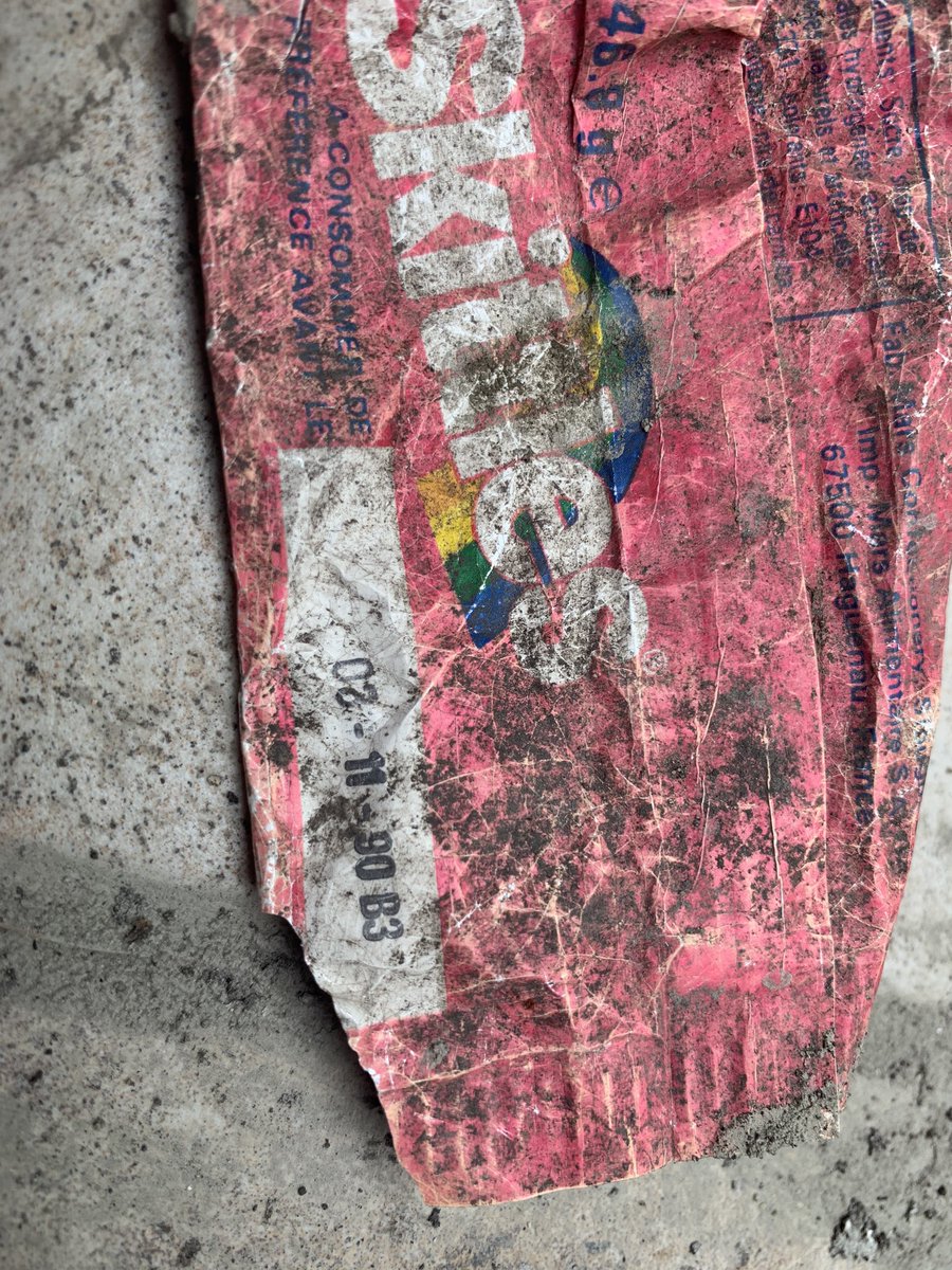 Momo 🐾 tweet media