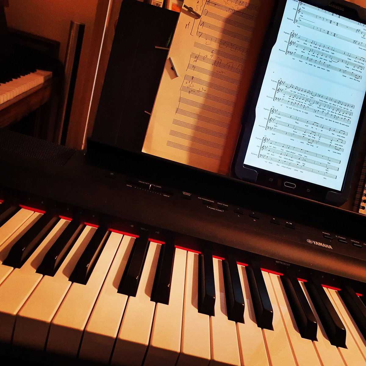 All ready to sing tonight. Just to get warmed up now 😉🎶 #onlinechoir