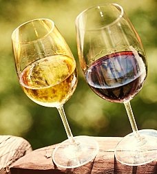 Buttonwood Winery tweet media