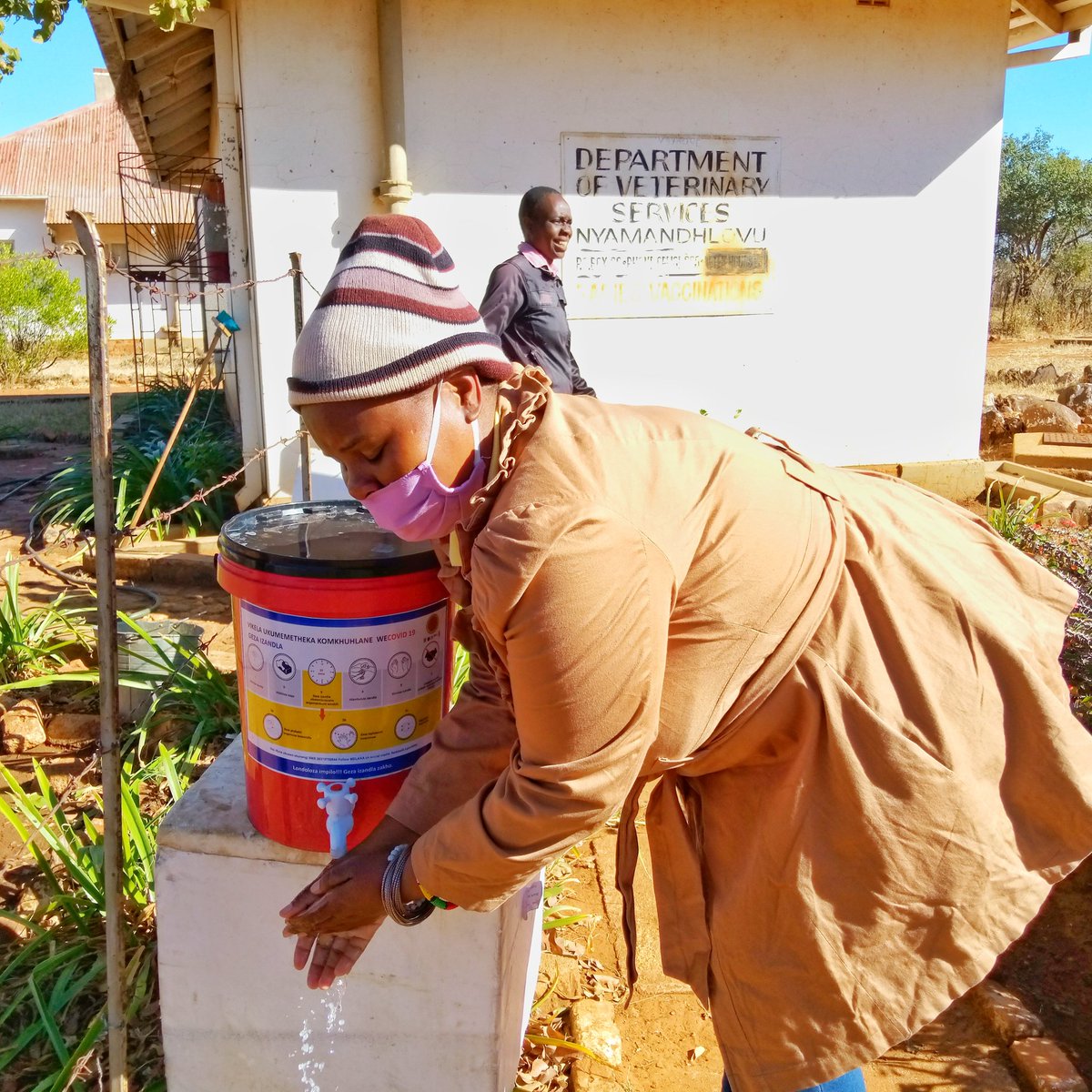 In the midst of the COVID 19 pandemic dipping of cattle remains an essential service. #ZRBF MELANA has supported 234 diptanks with handwashing buckets and soap which will be used during dipping sessions. The support also includes PPE for Diptank attendants.