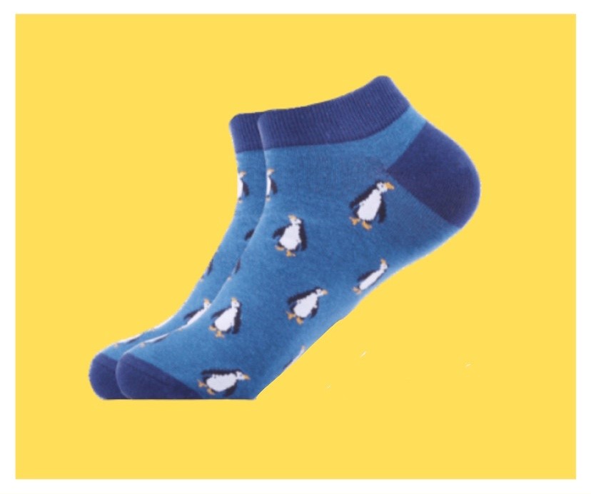 WestSocksco's tweet photo. It's a hot one today😎! Stay cool ❄️with these penguin ankle socks! 
Shop our ankle sock collection here: https://t.co/d6ionRJpLN
#penguins #socks #westsocks #Charleston #shopsmall #shoplocal #SmallBusiness #shopsmall #localbusiness https://t.co/uADpTXZCf8