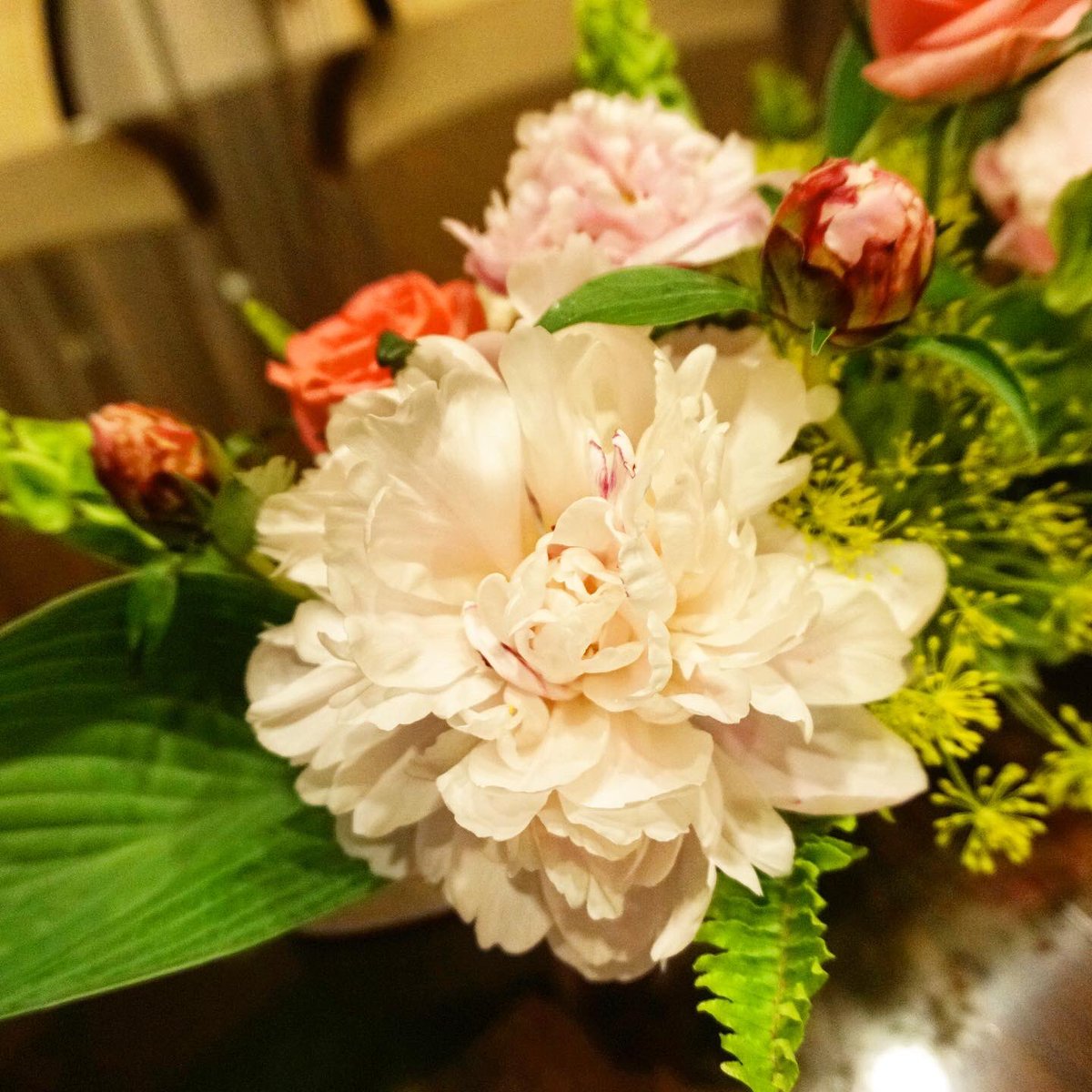 coursdefleur_C's tweet photo. 写真をあげていませんでしたが…
昨年は、お稽古の花を集めてテーブルフラワーにしました
2019.6
#フラワーボックス #flowerbox #ケーキ #cake #テーブルフラワー #tableflower
https://t.co/DJQk0AXUNt https://t.co/sNqeSfiGQ2