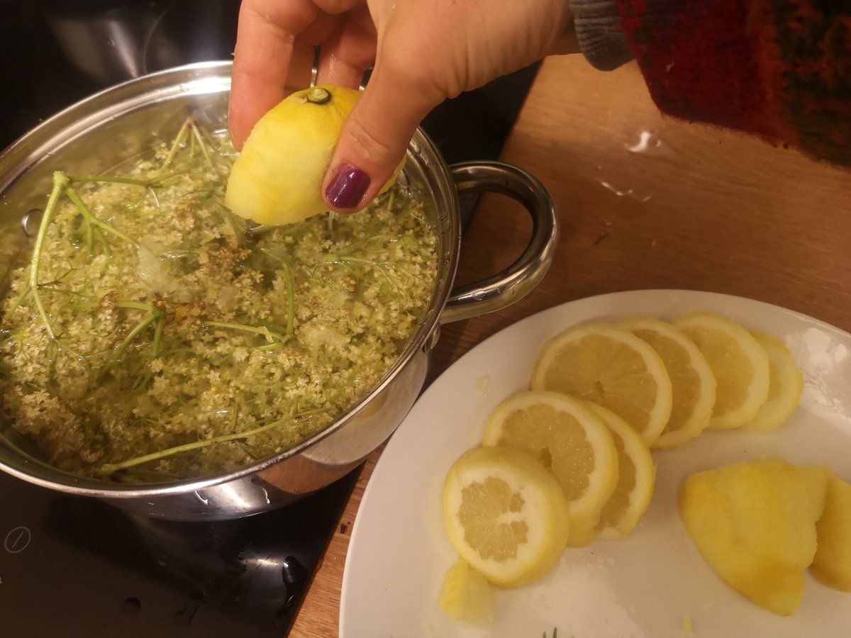 RuthHelenOT's tweet photo. Foraging creations this week. Elderflower cordial. Spruce tip syrup and fir tip syrup.. Yum yum 😊 I love creating concoctions from foraged goodies #foraging #natureconnection #grounding https://t.co/nZ0W5YiiiG