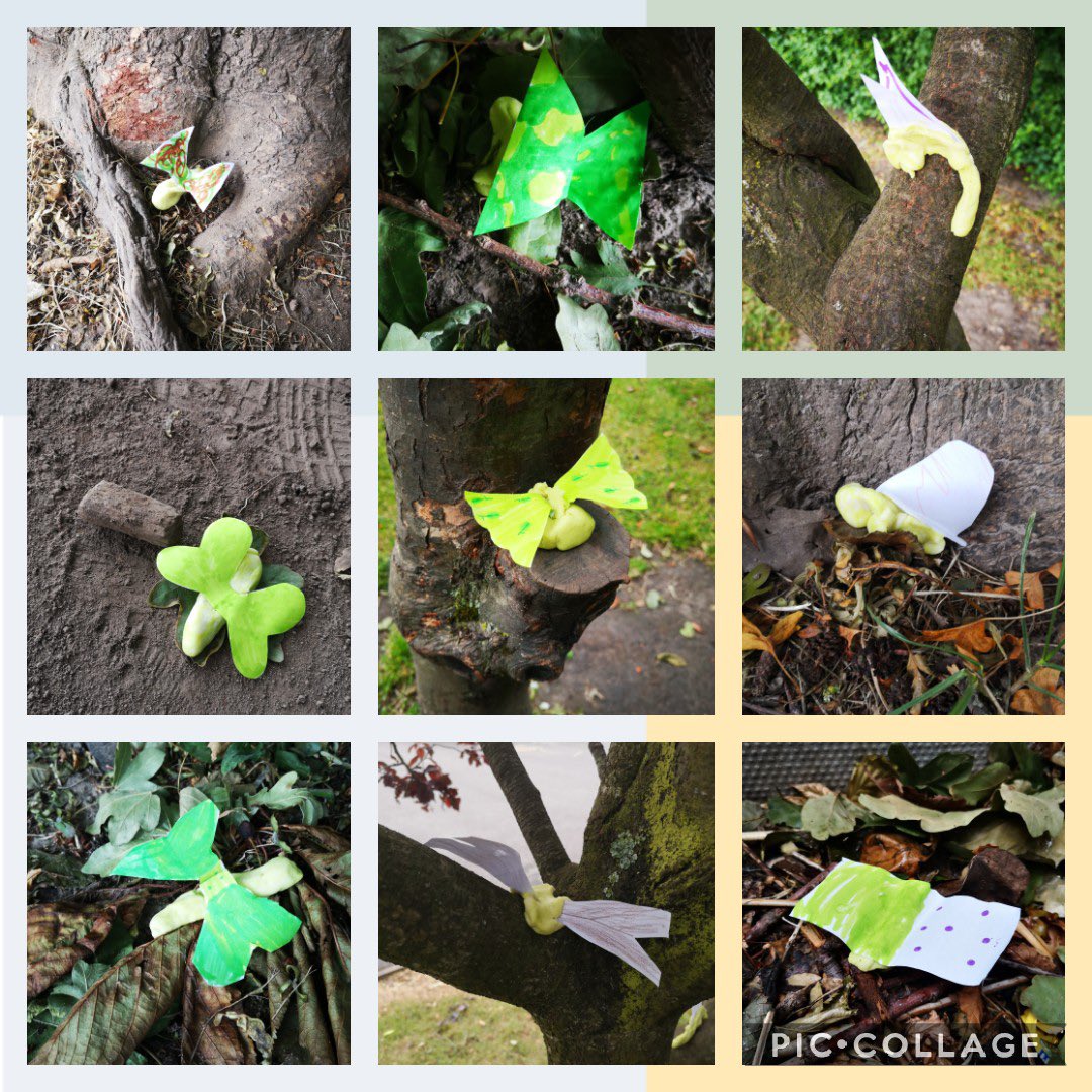 Today’s online session about BUGS! Well St Teresa’s pupils making these salt-dough bugs with different levels of camouflage! What do we predict about how predators will deal with them when left outdoors? FREE Zooms to schools. DM #onlinescience #primaryscience