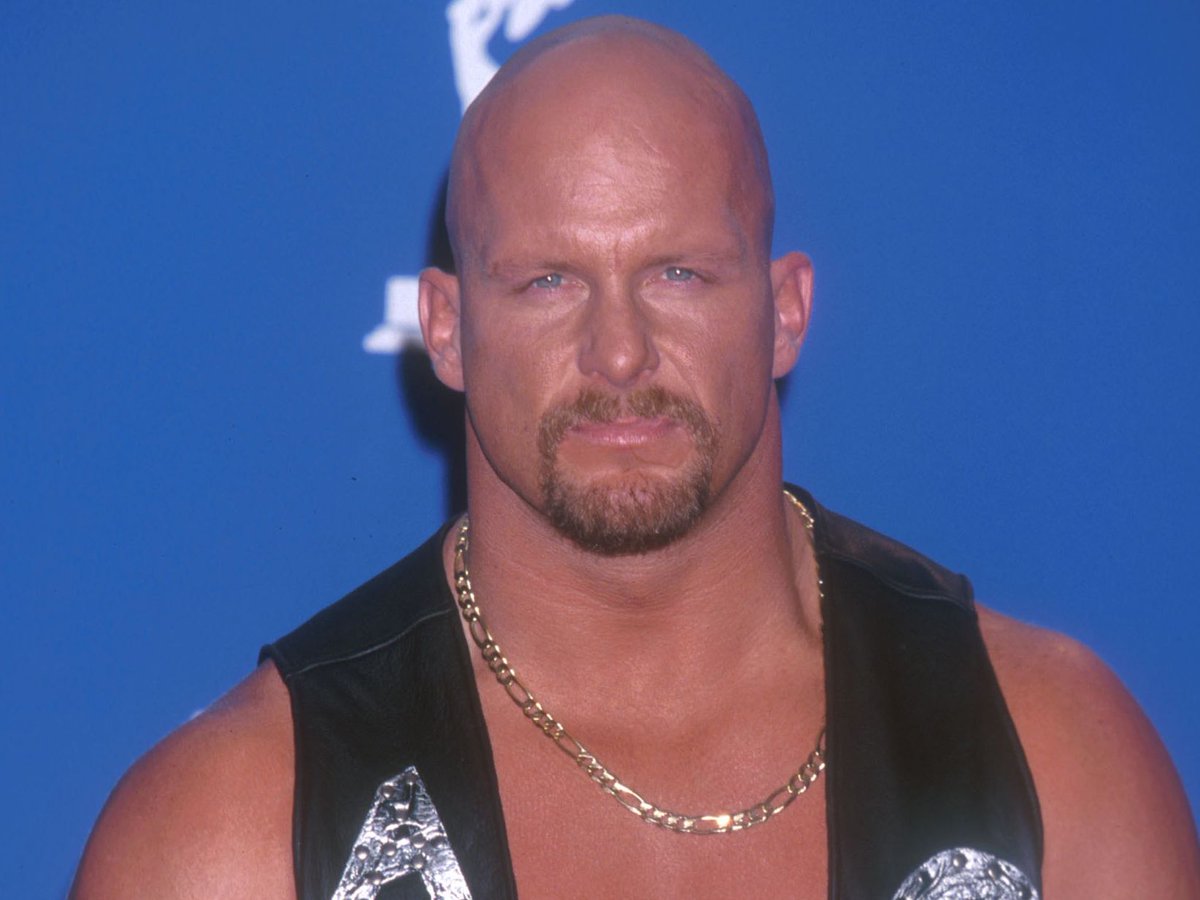 Transcendent stars in the #WWE:Hulk Hogan Stone Cold Steve Austin The Rock ...