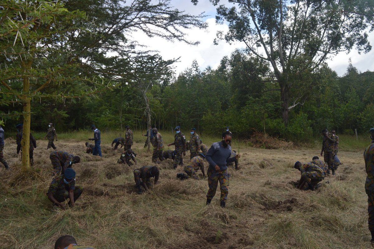 Kenya Defence Forces tweet media