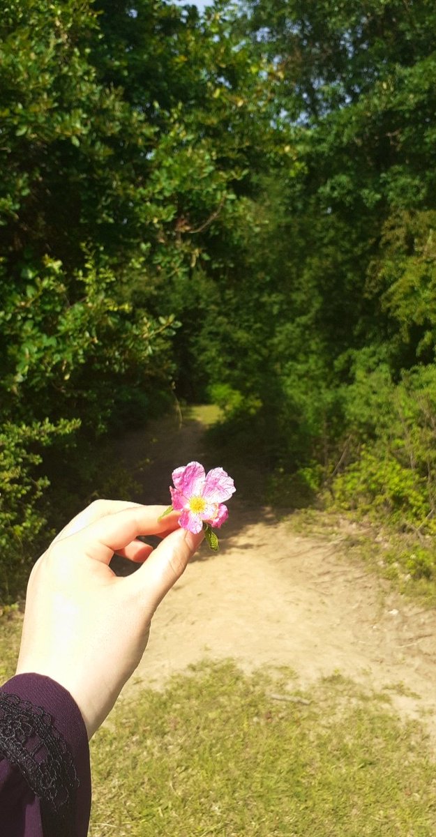 Bir çiçekle bahar olmaz ama. Her bahar bir çiçekle başlar🌸

Necmettin Erbakan