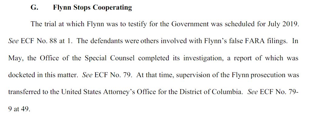 Section G is where it gets most interesting. If you believe Flynn (I do) this is where Van Grack attempted to get him to commit perjury to convict others as part of his cooperation. Rebutting this section requires exposing that misconduct!