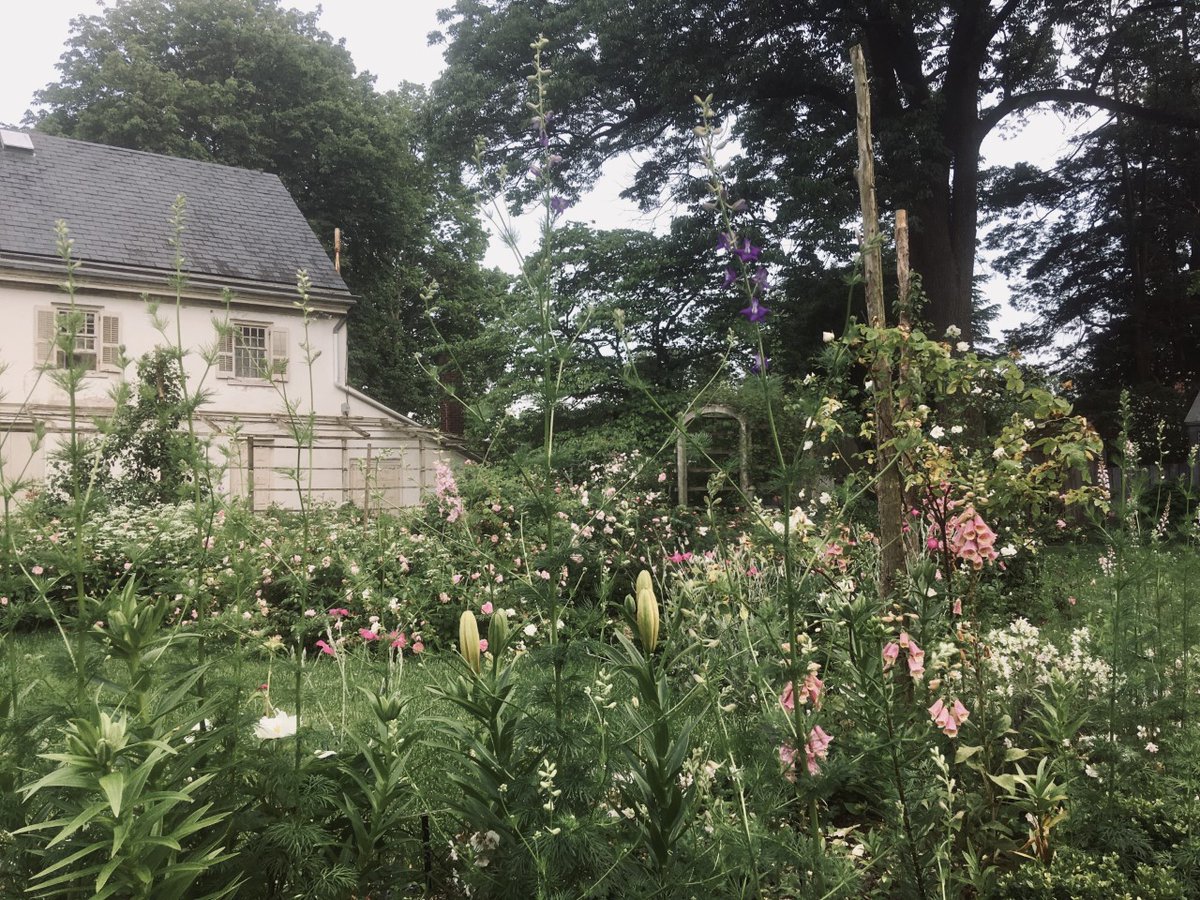 Take a virtual tour of the Wyck rose garden! youtube.com/watch?v=_6vDhC…