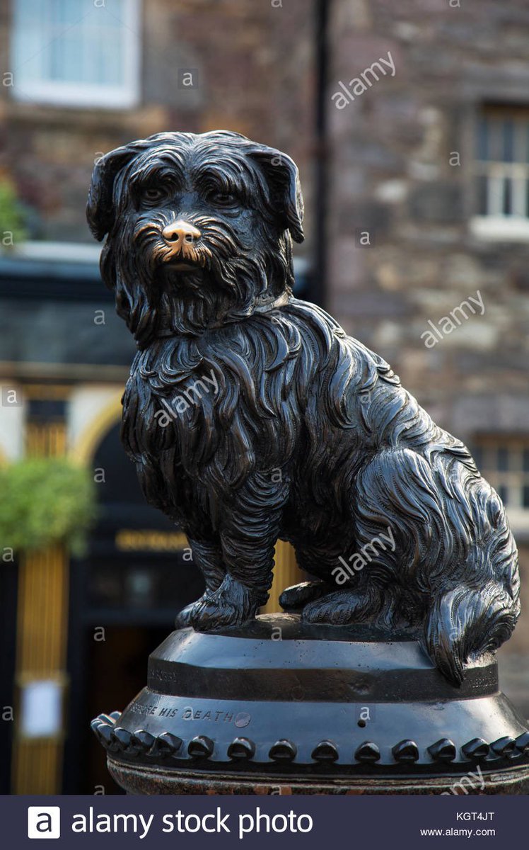 Any dog statue that’s been pet so much by passersby that it’s nose is now shiny.