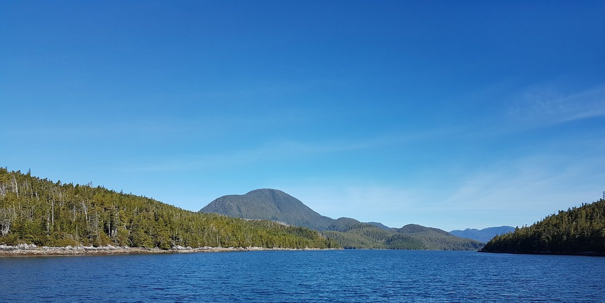 Shearwater tweet media