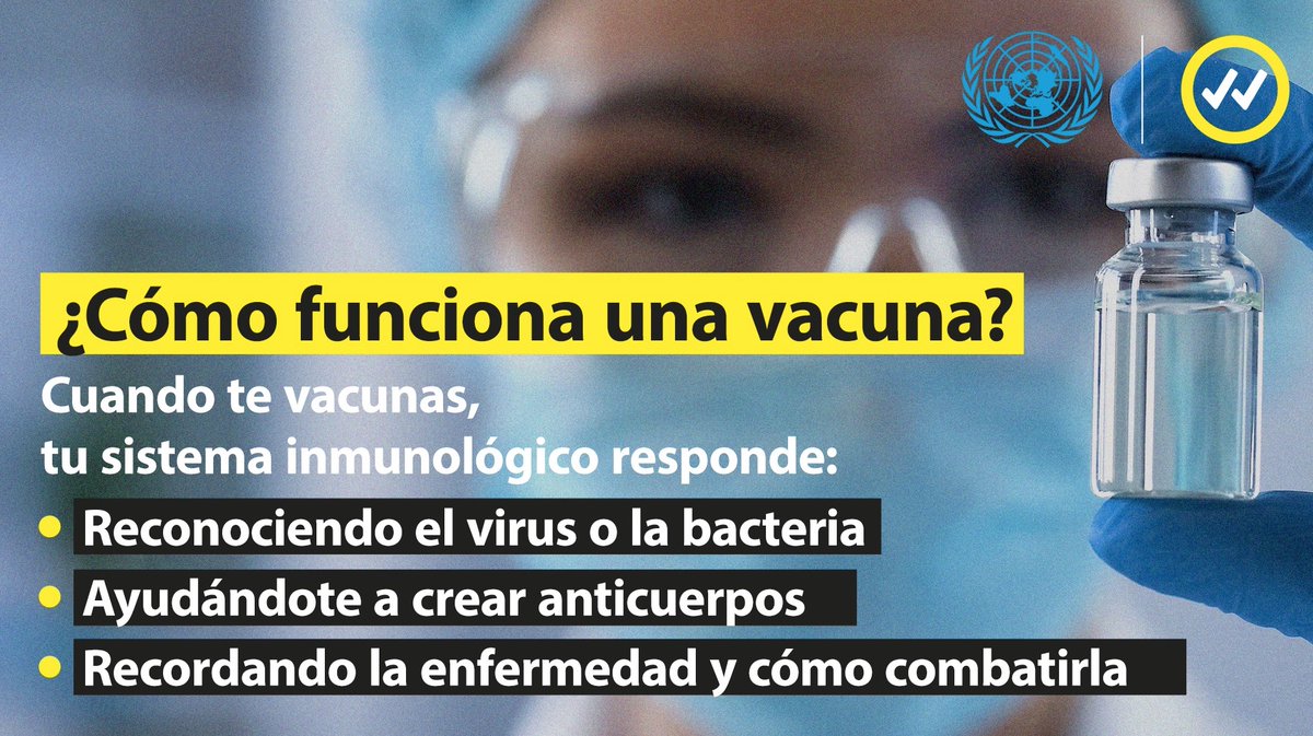 ONUMX's tweet photo. #LasVacunasFuncionan
#SharedVerified 
#OnuMxCOVID19
Sin embargo, algunos buscan desacreditarlas. Mientras esperamos una vacuna segura para la #COVID19, todos debemos tener acceso a datos confiables. 
Más información: https://t.co/aLX2ybaJOa https://t.co/cn9zAqp8Q3