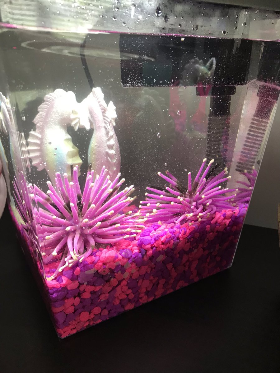 Katrice (she/her) tweet media