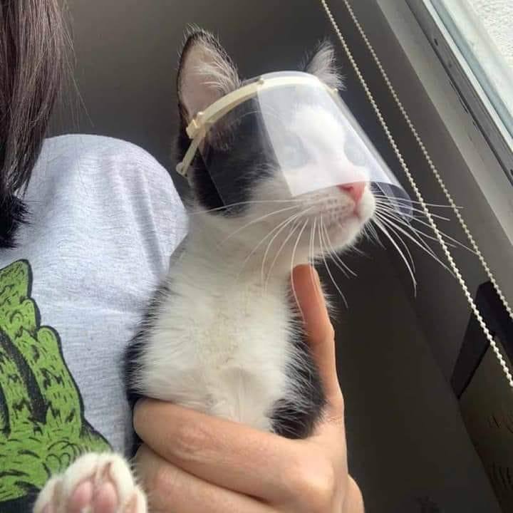 Take care of your loved ones.