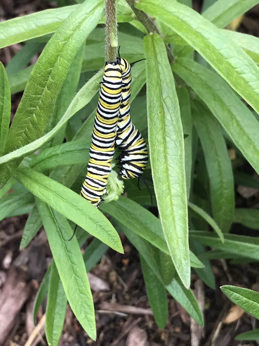 Frank McKenna tweet media