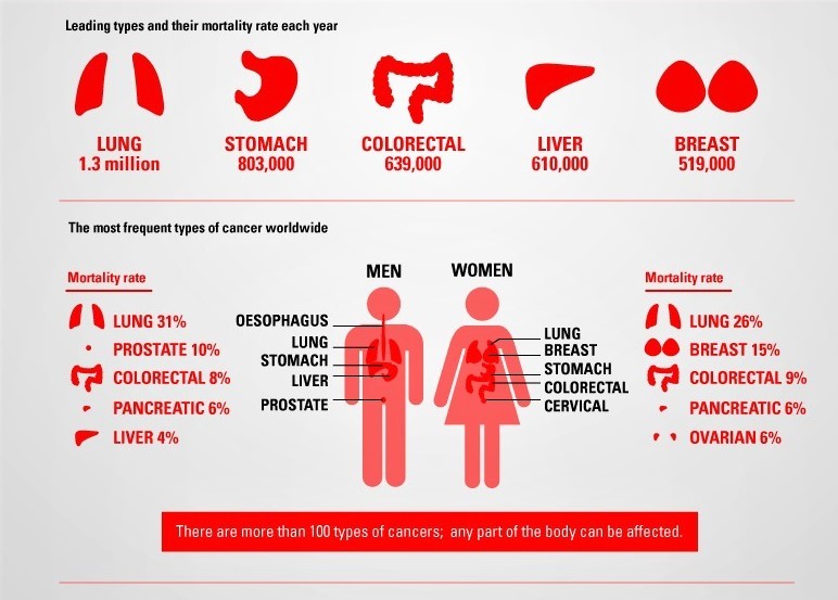 AwareForCancer's tweet photo. We are again back to broaden your knowledge .
Here are the human body parts where the cancer take place more often .#Worldwidesurvey #AwarenessForCancer https://t.co/uxqK5zRq0K