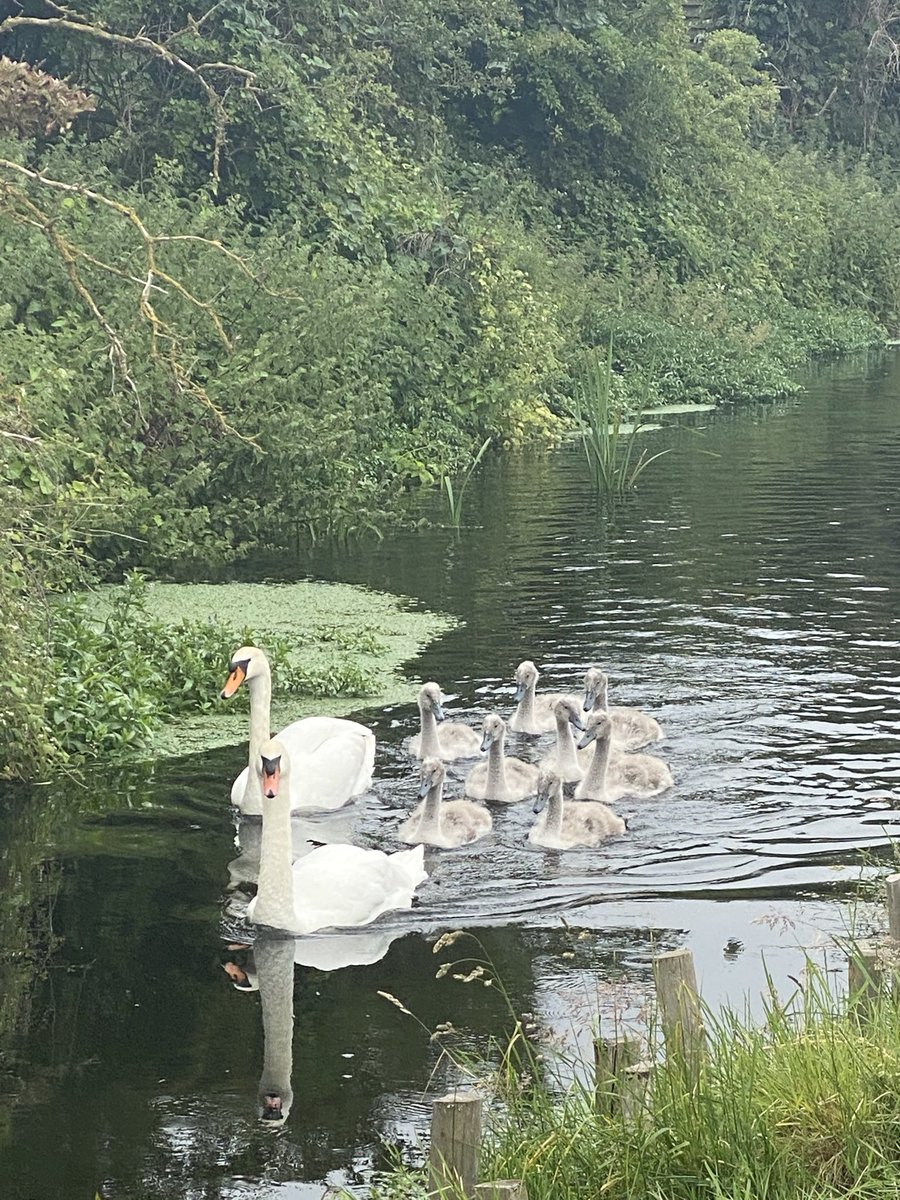 samanthajrayner's tweet photo. Today Cllr Shelim, Bowden and I visited Eton Wick to meet the Eton Wick Waterways group to see the flooding over banks and discuss action to help ⁦@thameswater⁩ ⁦@EnvAgency⁩ ⁦@Eton_College⁩ ⁦@RBWM⁩ ⁦@AdamAfriyie⁩ ⁦@joymorrissey⁩ https://t.co/cJCMGIThra