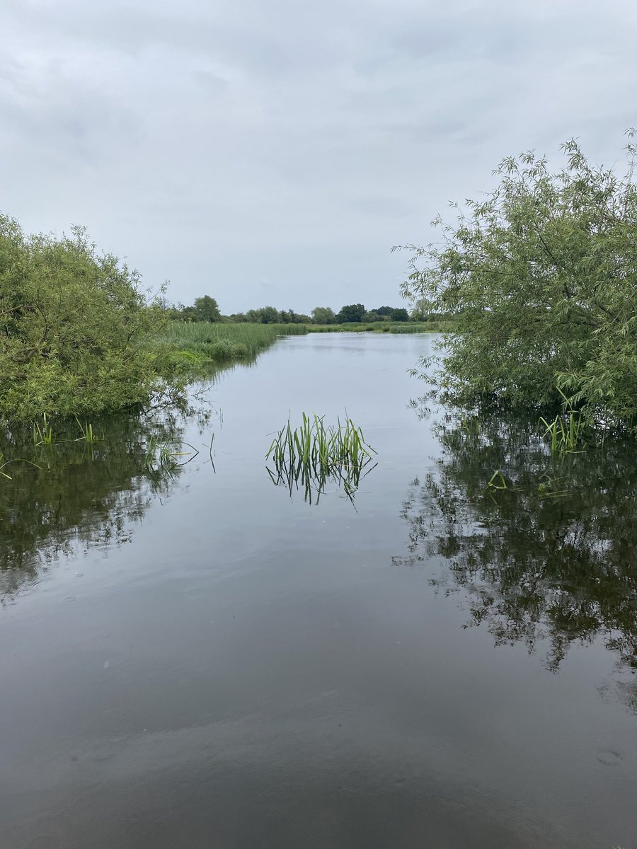 Today Cllr Shelim, Bowden and I visited Eton Wick to meet the Eton Wick Waterways group to see the flooding over banks and discuss action to help ⁦<a href="/thameswater/">Thames Water 💧</a>⁩ ⁦<a href="/EnvAgency/">Environment Agency</a>⁩ ⁦<a href="/Eton_College/">Eton College</a>⁩ ⁦<a href="/RBWM/">RBWM</a>⁩ ⁦<a href="/AdamAfriyie/">Adam Afriyie</a>⁩ ⁦<a href="/joymorrissey/">Joy Morrissey MP</a>⁩