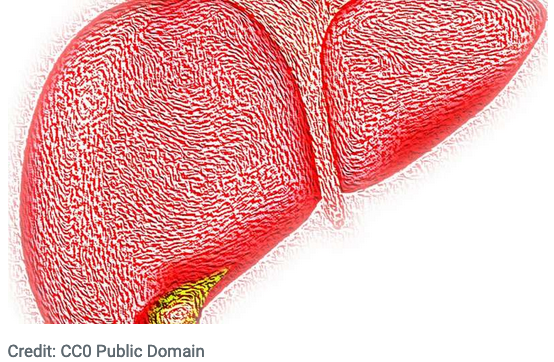 AlcoholJustice's tweet photo. Something Big Alcohol does not want you to know: As high risk drinking (which is great for their bottom line) increases, new research projects a sharp rise in alcohol-related liver disease, especially in women. @medical_xpress https://t.co/xw38xYg7KS @AlcoholJustice https://t.co/7dZvr7Kez0