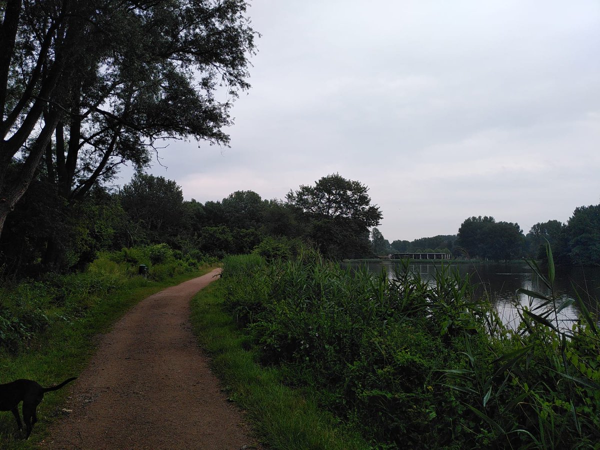 Heerlijke wandeling in tropische bergsche bos