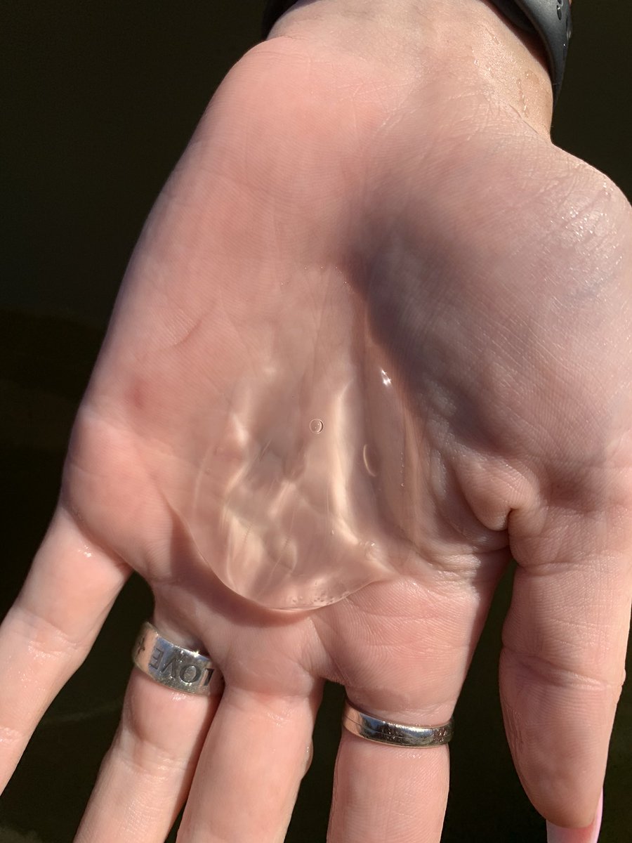 ConnivingKevin's tweet image. Jellyfish experiencing youth