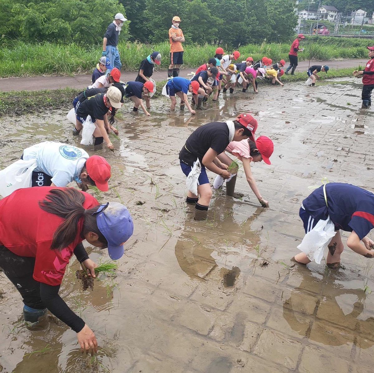 Uzivatel Fc越後妻有 Na Twitteru Agri Works 松代小学校の5年生のみんなと一緒に田植えをしました 楽しそうに田植えをする姿を見て元気をもらいました みんなと一緒に美味しいお米を作れるように頑張ります Fc越後妻有 女子サッカー 女子サッカー選手募集