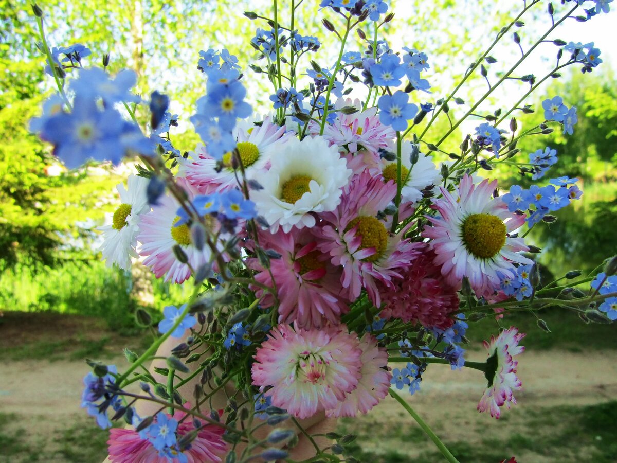 Красивый полевой букет фото. Красивый летний букет. Летние цветы. Полевые цветы. Букет полевые цветы.