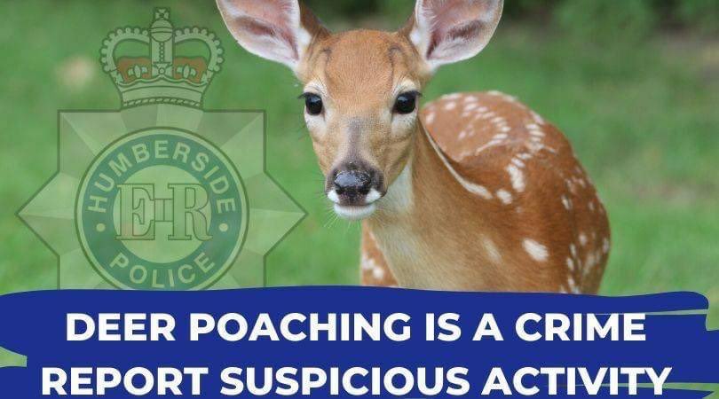 PCSODarrenB's tweet photo. #Holderness preventative patrol as colleagues from @Humberbeat_ERYN had a sighting of a vehicle believed to be used in poaching in their area 

Working with #farmwatch to tackle those involved in wildlife crime https://t.co/OfdPy91I4Q