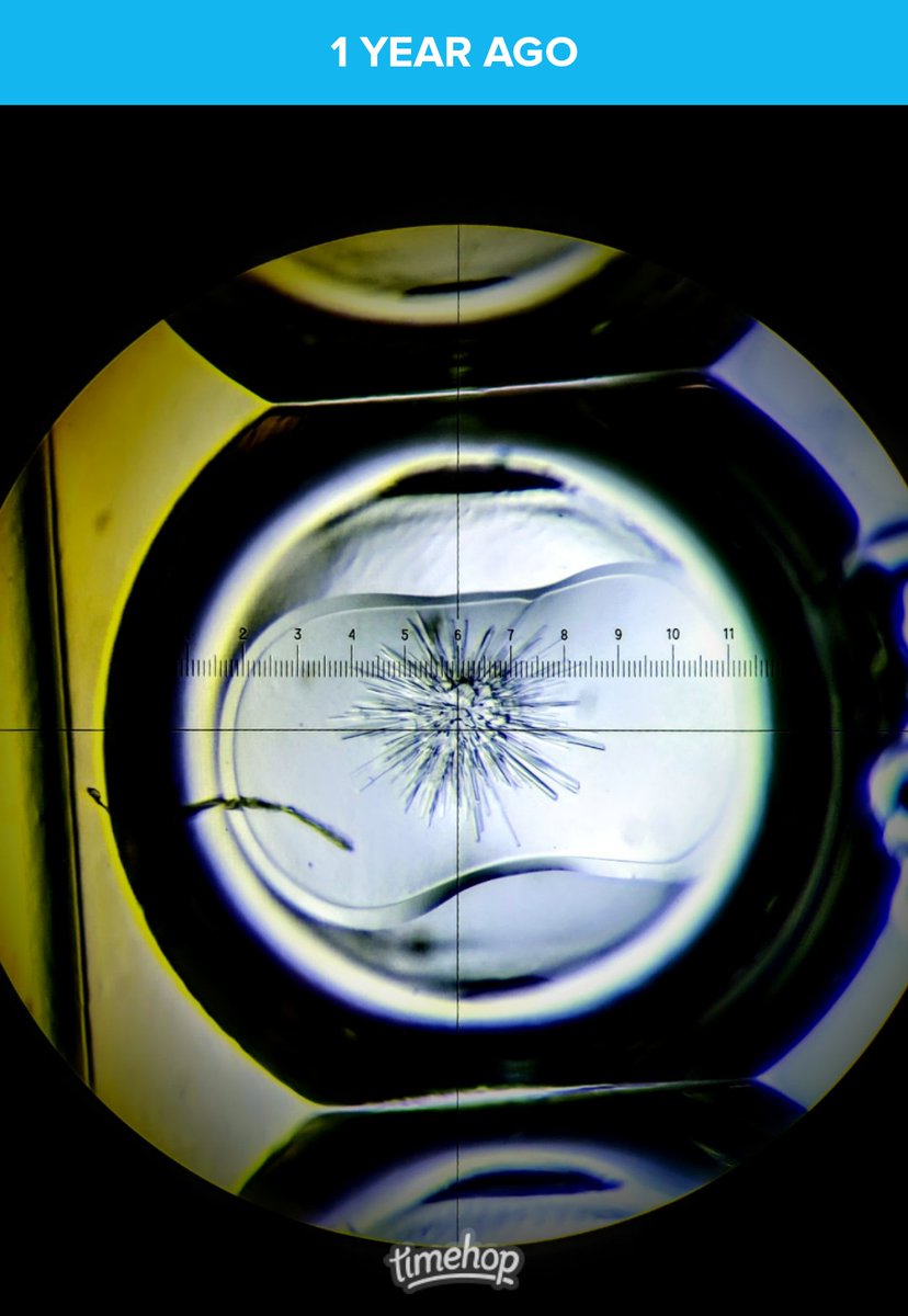 FlynnHelenM's tweet image. 1 year ago I crystallized my first protein!! She was a beaut (and therefore absolutely useless for crystallography, naturally) #structuralbio