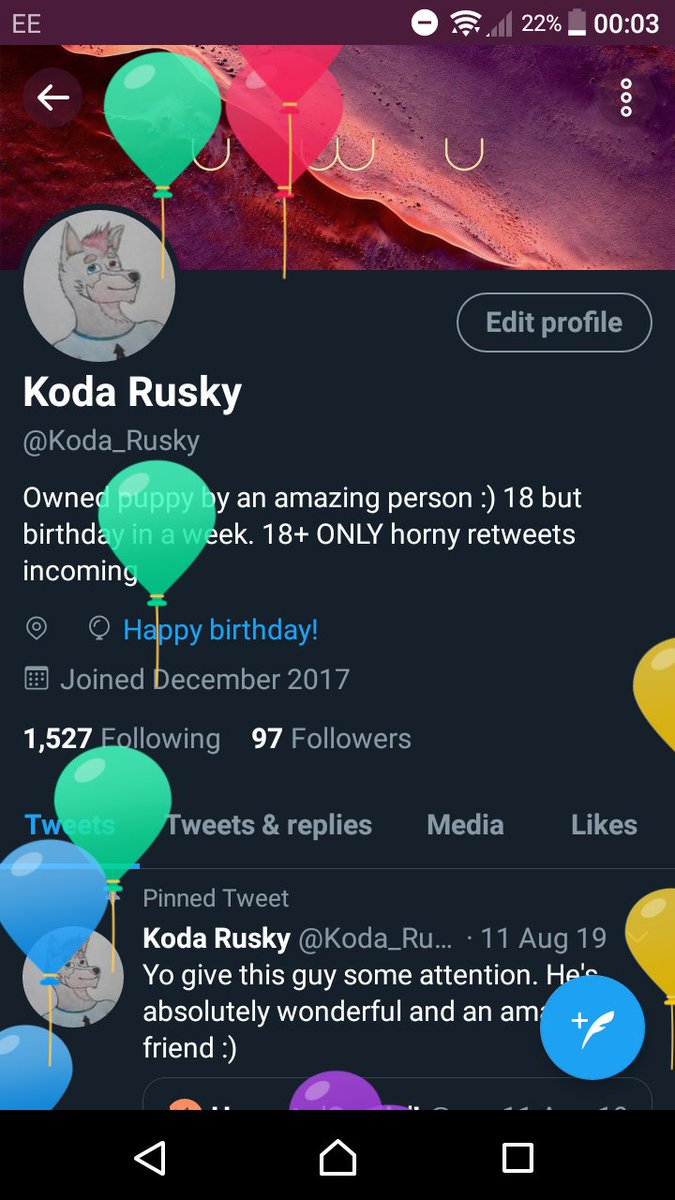 Koda_Rusky's tweet photo. BALLOONS!! Any birthday twins with this pup? :D https://t.co/BhQvR5OcPw