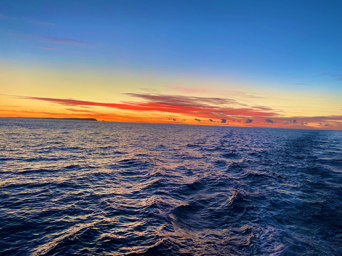 Another beautiful sunrise on the water. Time for more #SharkScience