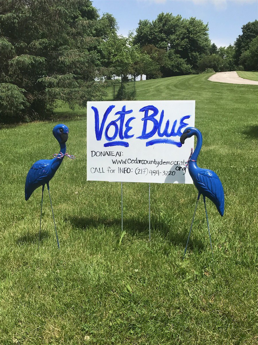 CedarIowaDems's tweet photo. Another flock spotted in West Branch ! https://t.co/yTdgnO0AXK