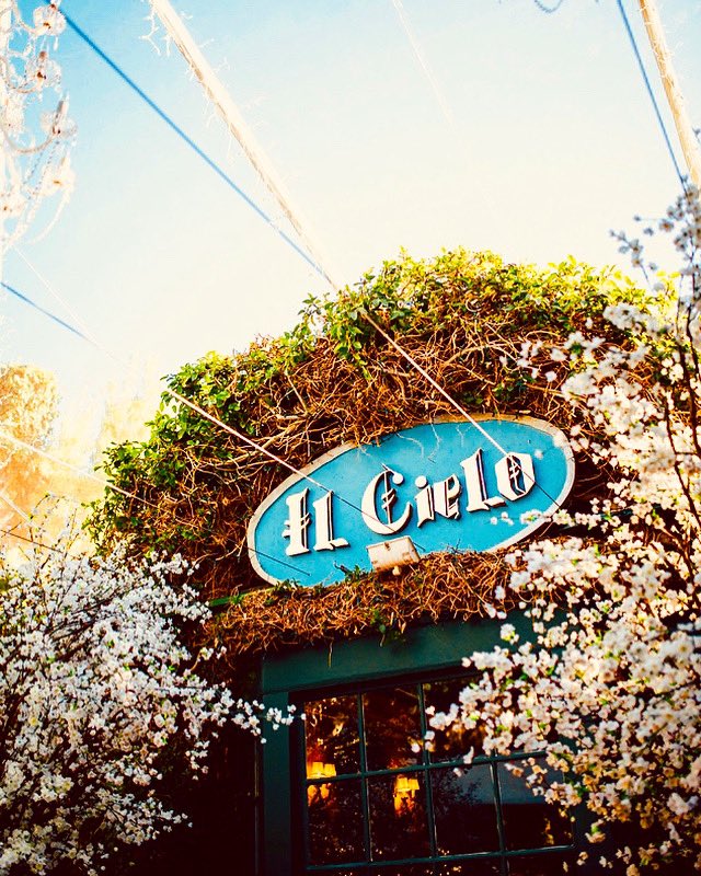 Our doors open at 5pm today, and we welcome you to dine in with us! Enjoy Il Cielo’s traditional #Italiancuisine, #beautifulgardens and #patios in our charming setting. 
Book your table now: 310-276-9990 
#italiancuisine🇮🇹 #beverlyhillsca #finedininglovers
