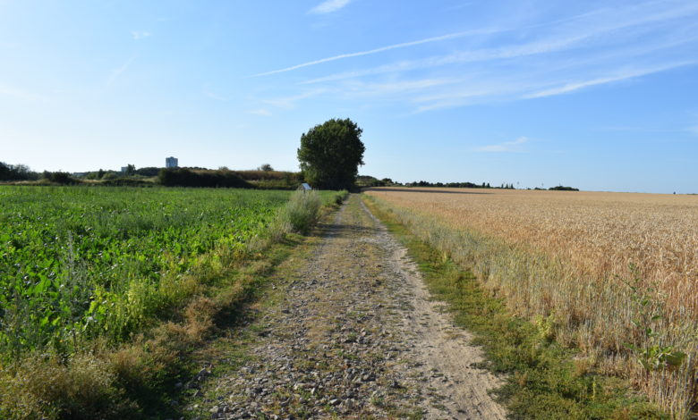 FlandrePresse's tweet photo. 🚴#Cyclisme > Cet été, tous à #vélo ! À partir du vendredi 3 juillet, @FlandrePresse vous propose ses #carnetsderoute à travers la #Flandre.
ℹ️ Une publication signée @autier_gael 
Lien vers l'article ➡️ https://t.co/VgKoK8DBTb https://t.co/RxrpM0bDzv