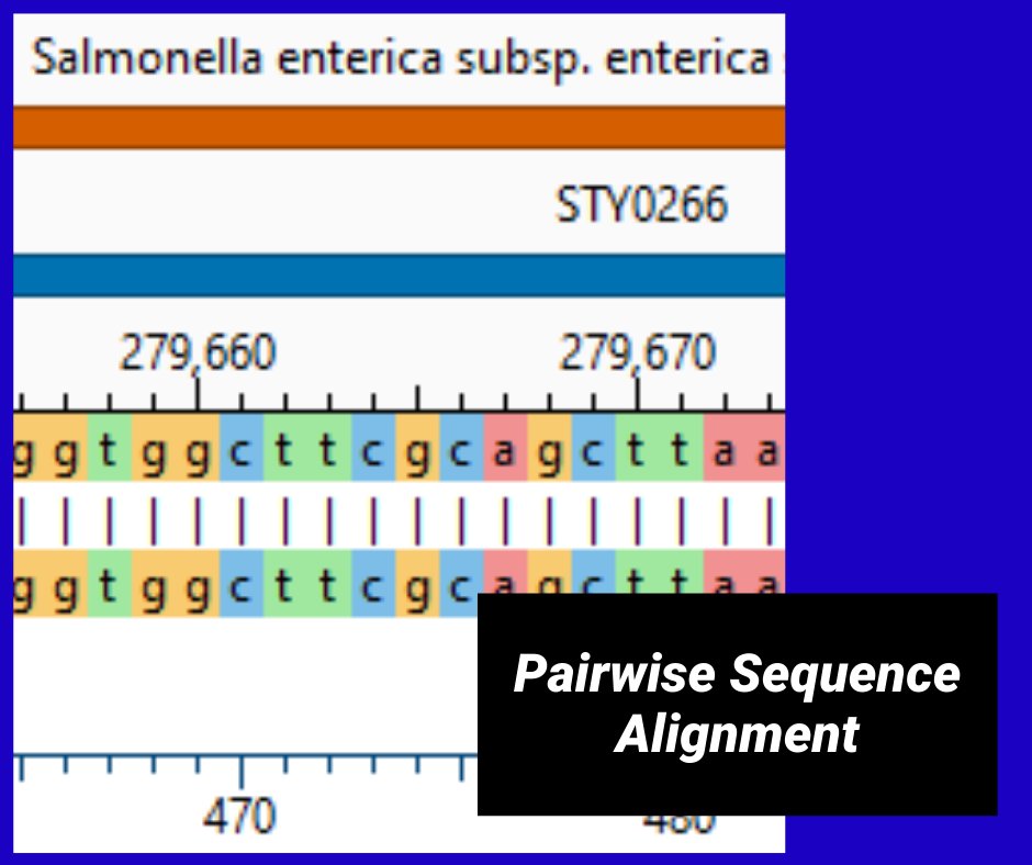 Pairwise Sequence Alignment