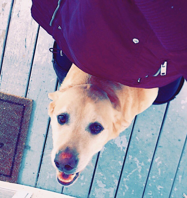 Emilyyy_Collins's tweet photo. RIP to the most loyal, happy, and easy going dog. My best bud🐶 will miss you forever😢❤️ https://t.co/gclihCzWNV