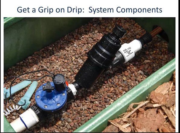 JainsUSA's tweet photo. A filter is key!
#dripIrrigation #landscape #clicktif #dripline #emitterline #dripper #emitter #filter #waterconservation #sustainableirrigation #sustainablelandscapes #webseminarseries https://t.co/gnTz5VhsDL