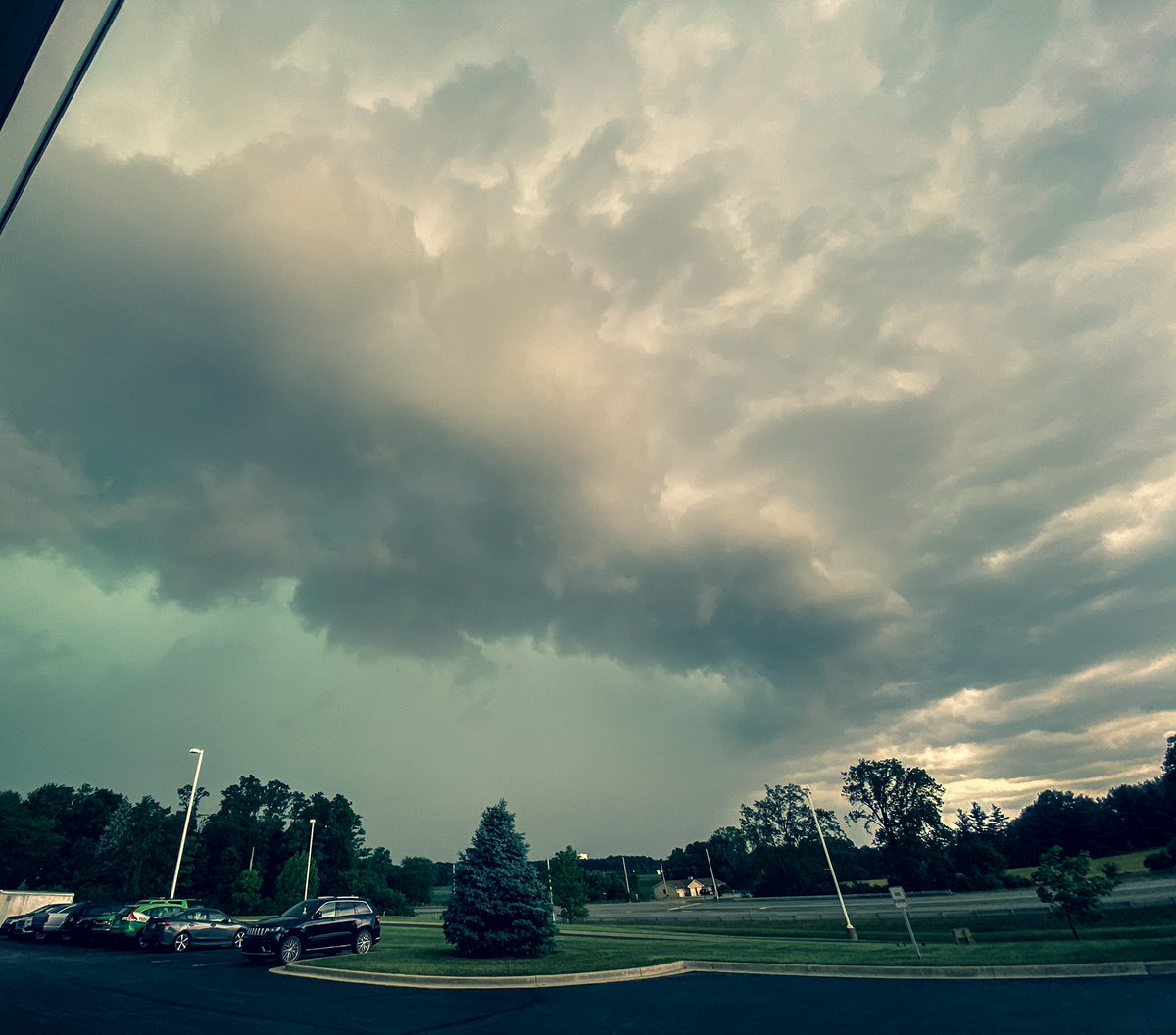 Theresa Cannizzaro tweet media