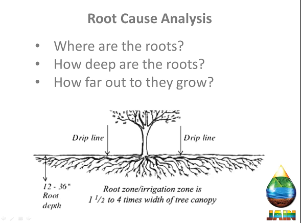 JainsUSA's tweet photo. Where do the emitters get placed?
we need to know where the roots are.
@AndyNVH2O
#dripIrrigation #landscape #clicktif #dripline #emitterline #dripper #emitter #filter #waterconservation #sustainableirrigation #sustainablelandscapes #webseminarseries https://t.co/5W6caJC14j