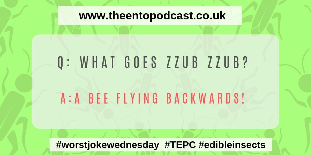 Happy Hump day enjoy our #worstjokewednesday, #ent