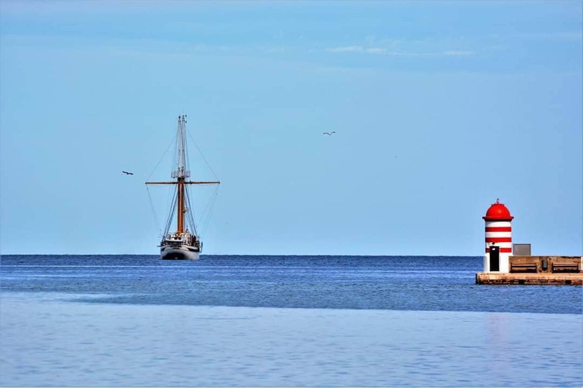 Zadar City Tourist Board tweet media