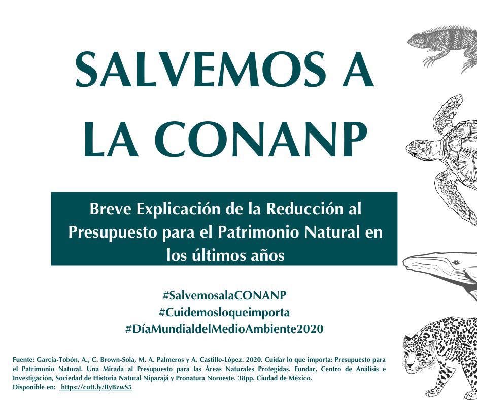 armandohoficial's tweet photo. Quiero un México con bosques sanos, agua limpia, mares llenos de vida, donde la gente vive mejor porque cuida y aprovecha bien la naturaleza. El 0.02% del presupuesto federal para @CONANP_mx no es suficiente.
#SalvemosCONANP @salvaCONANP @FonnorAC https://t.co/mrvOQIYI3M