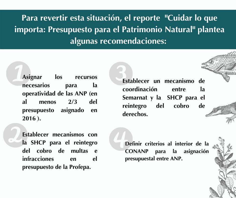 armandohoficial's tweet photo. Quiero un México con bosques sanos, agua limpia, mares llenos de vida, donde la gente vive mejor porque cuida y aprovecha bien la naturaleza. El 0.02% del presupuesto federal para @CONANP_mx no es suficiente.
#SalvemosCONANP @salvaCONANP @FonnorAC https://t.co/mrvOQIYI3M