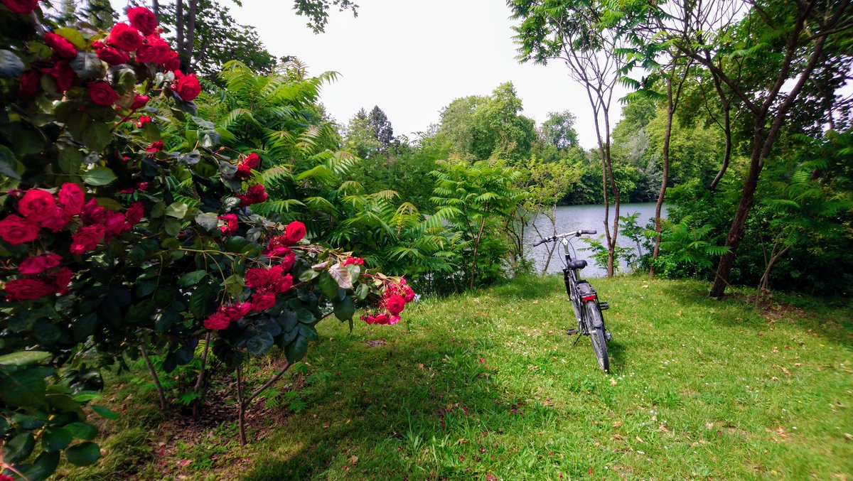 #mylifeinpictures, day 3/7, no people, no descriptions. Challenge someone every day. I was challenged by 
<a href="/aanazgo/">Angie Añazgo</a> I challenge <a href="/malet_claire/">Claire Malet</a>