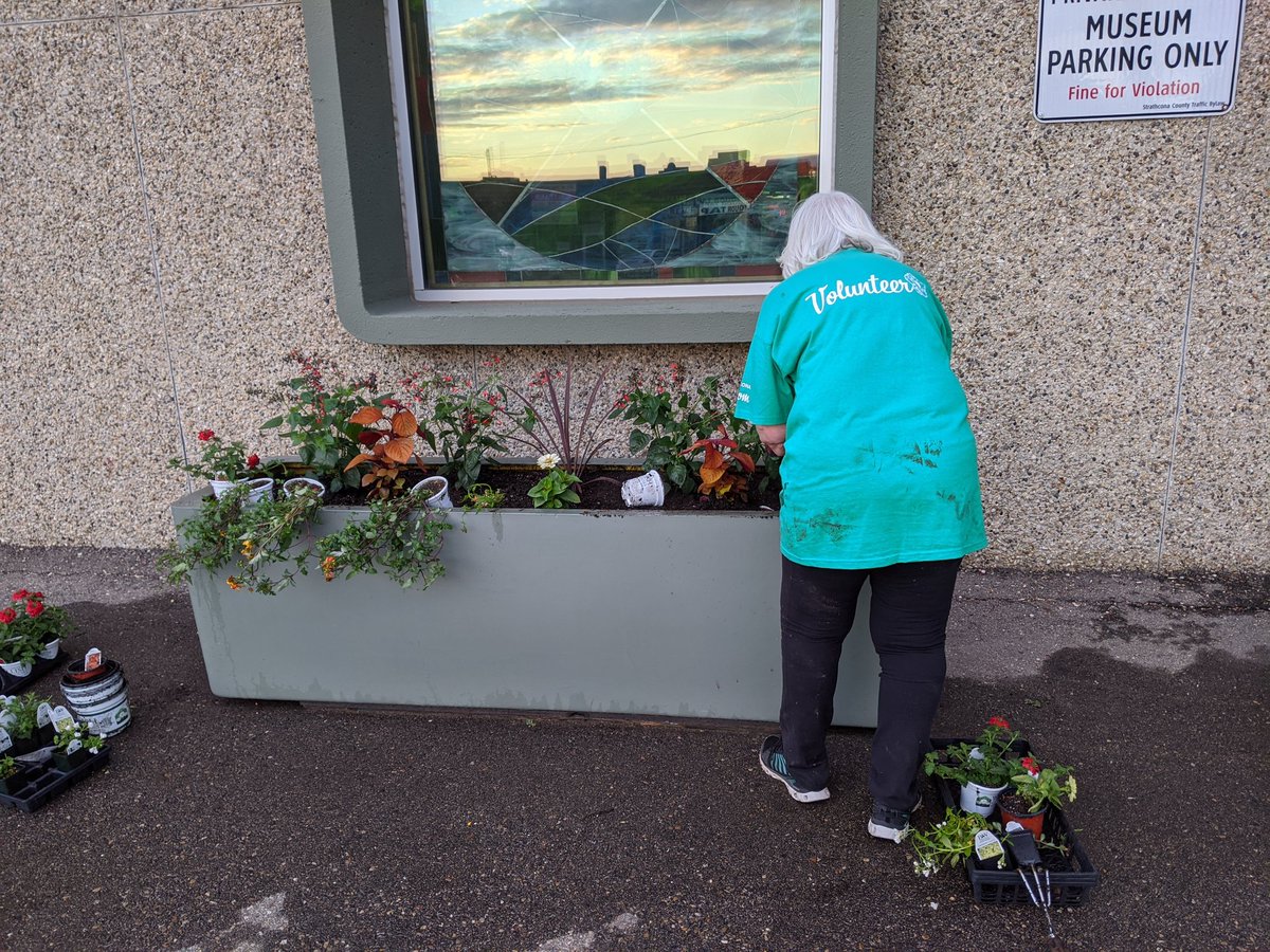 CommonGround_SC's tweet photo. Volunteer spotted! Shout-out to Pat who's planted the beds by the @strathcomuseum for the past twenty years with @Strathco_Bloom! Thank you! https://t.co/eLscJpinhI