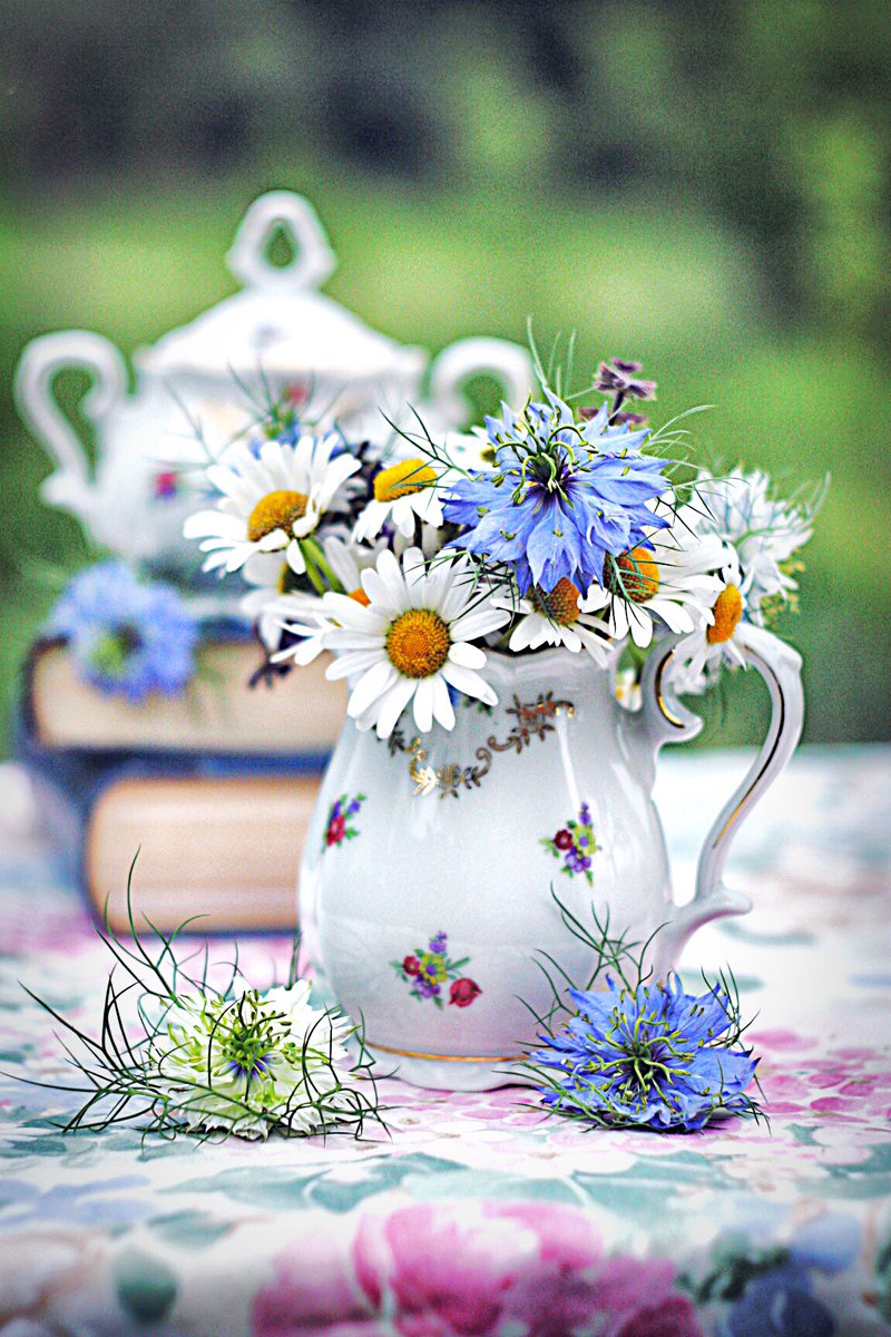 AnnemarieVentel's tweet photo. #vintage #fieldflowers #naturebackground #finechina #teatime #teacups #vintagelover ♥️ https://t.co/zpk1cRfz90