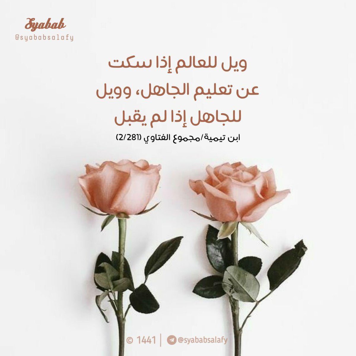 🥀 Celaka bagi seorang alim yang hanya diam saja dan enggan mengajari orang yang bodoh.

🍂 Kemalangan pula bagi mereka yang bodoh tetapi enggan diajari.

🌻 Ibnu Taimiyyah rahimahullah dalam Majmu' al-Fatawa (2/281)