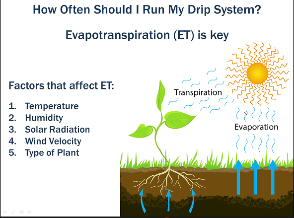 JainsUSA's tweet photo. How often do I run my drip system?
- ET (evapotranspiration)
#dripIrrigation #landscape #clicktif #dripline #emitterline #dripper #emitter #filter #waterconservation #sustainableirrigation #webseminarseries https://t.co/34WbUL5Fas