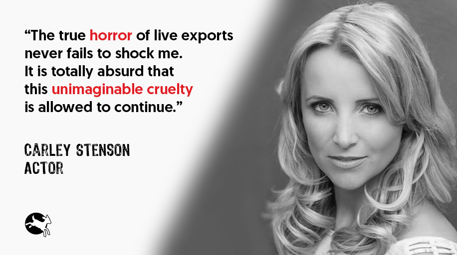 ciwf's tweet photo. Globally millions of animals endure long journeys for slaughter &amp; fattening every year.

If you agree with @carleystenson &amp; think it's absurd that this unimaginable cruelty continues, speak out this Sunday, on #BanLiveExports: International Awareness Day: https://t.co/gPyUxhNCDd https://t.co/eTMtS28Yl7